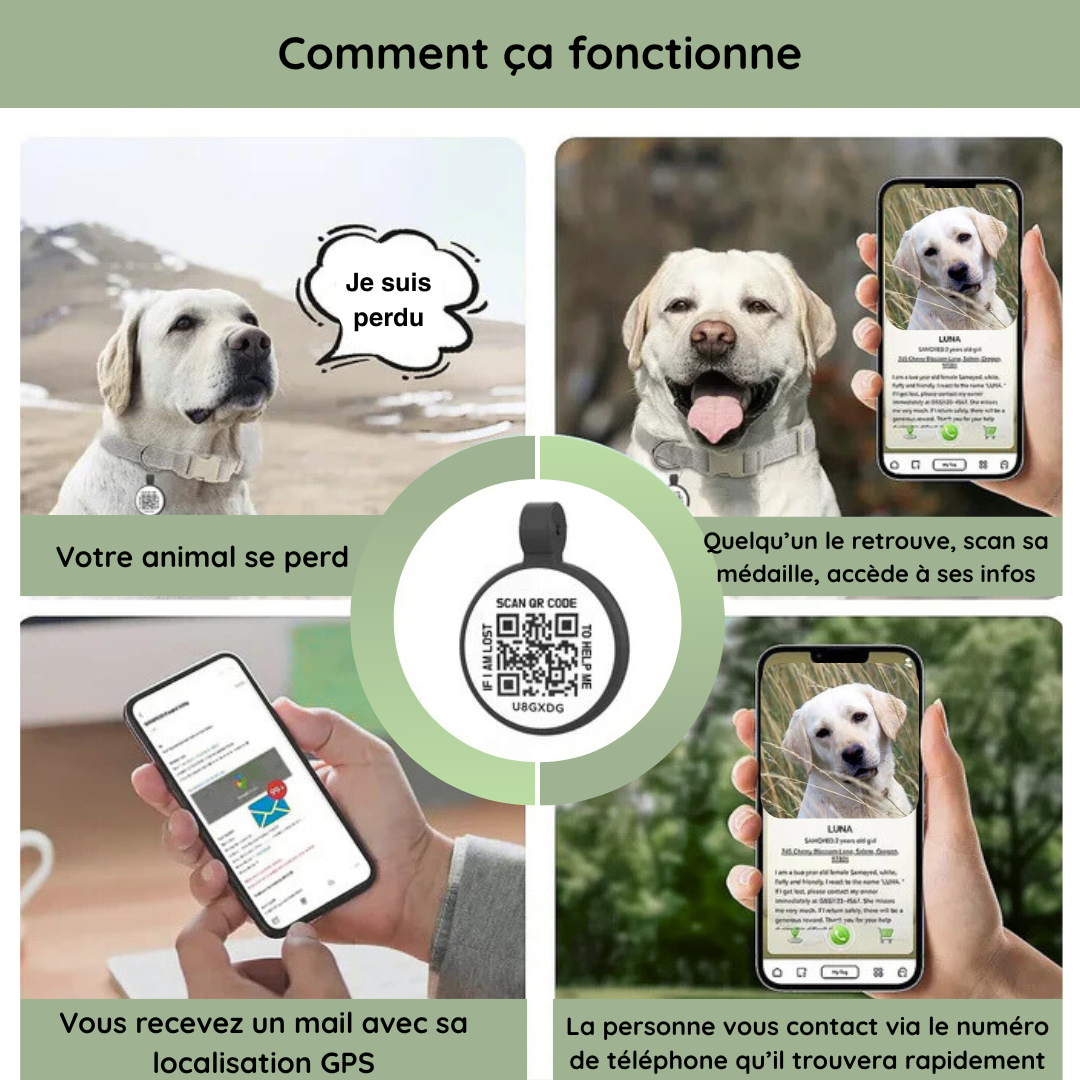 QR Protect