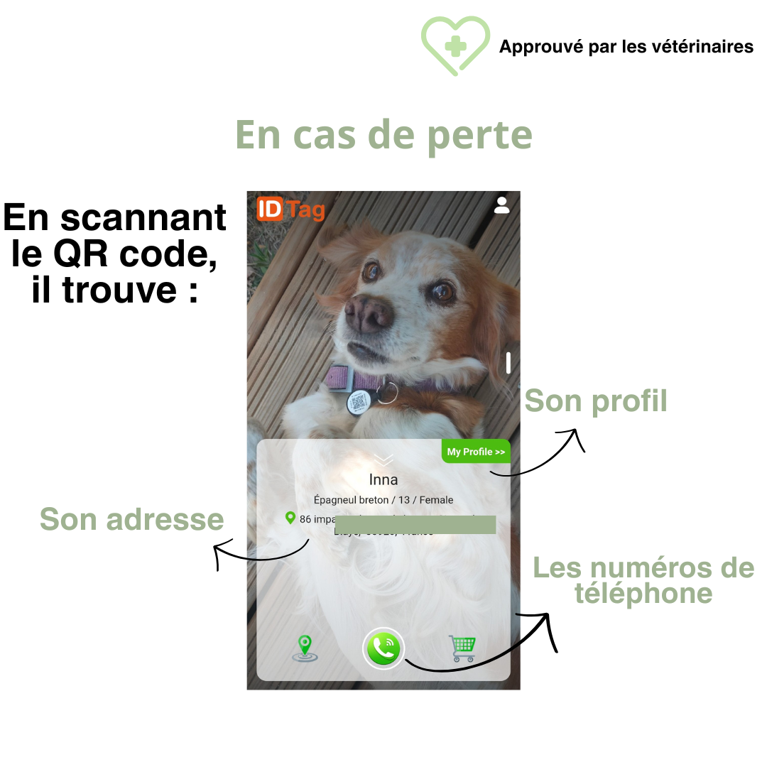 QR Protect